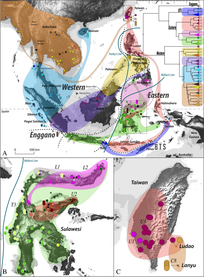 The natural and human-mediated expansion of a human-commensal lizard into the fringes of Southeast Asia