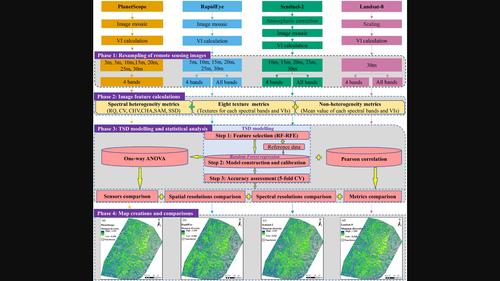 Tree species diversity mapping from spaceborne optical images: The effects of spectral and spatial resolution