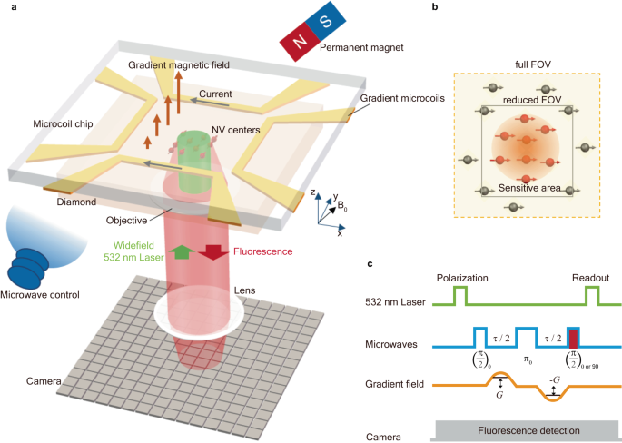 Wide-field Fourier magnetic imaging with electron spins in diamond