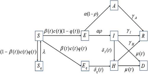 A mathematical model for evaluating the impact of nonpharmaceutical interventions on the early COVID-19 epidemic in the United Kingdom