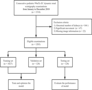 A fully automatic deep learning-based method for segmenting regions of interest and predicting renal function in pediatric dynamic renal scintigraphy