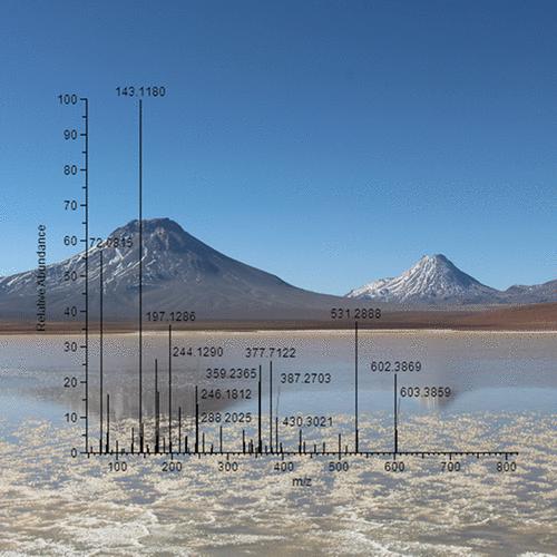 Exploring Andean High-Altitude Lake Extremophiles through Advanced Proteotyping
