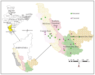 Vertical Diversity of Soil Dehydrogenase and Phosphatase Activity under Coconut (Cocos nucifera L.) and Arecanut (Areca catechu L.) Plantations in Different Agro-climatic Zones of Karnataka, India