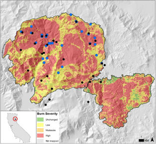 Wildfire burn severity and stream chemistry influence aquatic invertebrate and riparian avian mercury exposure in forested ecosystems.