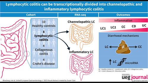 Lymphocytic colitis can be transcriptionally divided into channelopathic and inflammatory lymphocytic colitis.