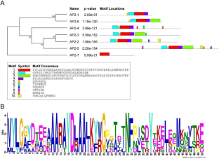 AP2 family identification in blackberry reveals the fruit ripening/color-change-related expression of RuAP2-1 and RuAP2-6 targeted by miR172