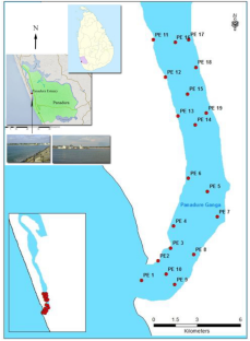 An Ecological Study on Diversity and Composition of Macrobenthos at the Mouth of the Panadura Estuary in Sri Lanka with Special Reference to Water Quality