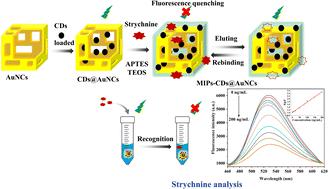 Ultra-sensitive fluorescent detection of strychnine based on carbon dot self-assembled gold nanocage sensing probe†
