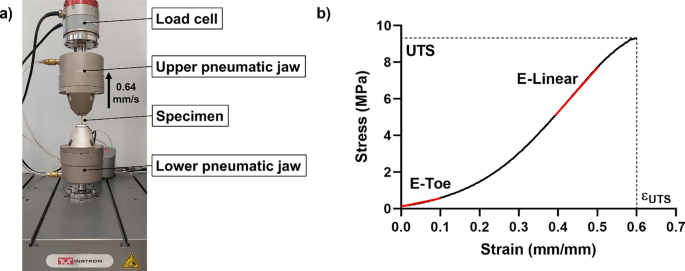 Development and validation of cryopreserved or freeze-dried decellularized human dermis for transplantation.