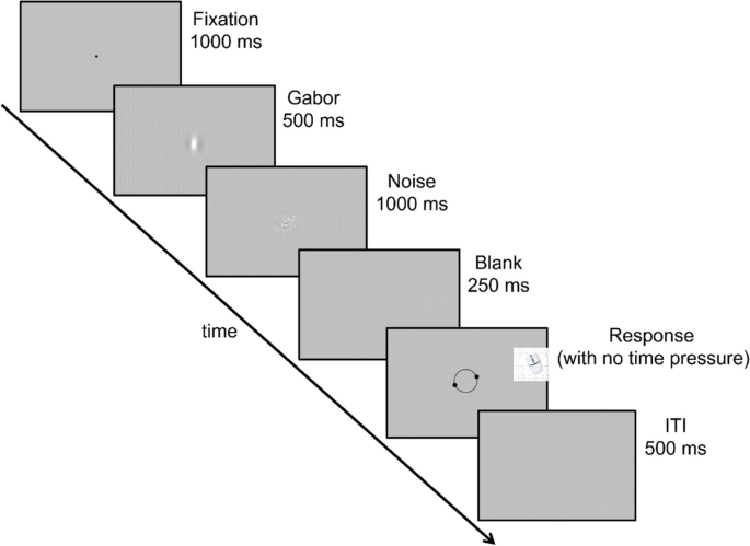 The distinct development of stimulus and response serial dependence.