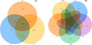 Antibiotics ingestion altered the composition of gut microbes and affected the development and reproduction of the fall armyworm