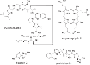 Actinobacterial chalkophores: the biosynthesis of hazimycins