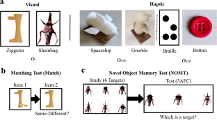 Distinct but related abilities for visual and haptic object recognition.