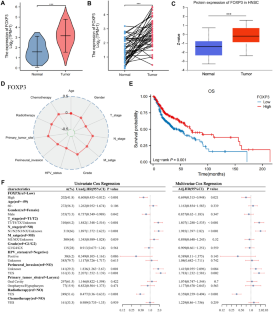 Radiomics Features on Enhanced Computed Tomography Predict FOXP3 Expression and Clinical Prognosis in Patients with Head and Neck Squamous Cell Carcinoma.