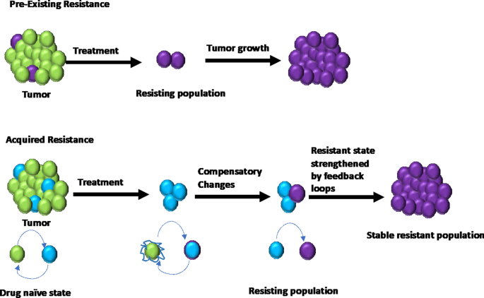 Three-Dimensional Tumor Models to Study Cancer Stemness-Mediated Drug Resistance