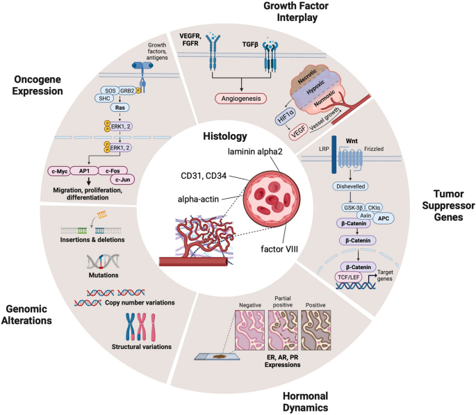 Integrated Molecular and Histological Insights for Targeted Therapies in Mesenchymal Sinonasal Tract Tumors.