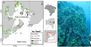 Effects of invasive sun corals on habitat structural complexity mediate reef trophic pathways