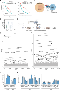 Unsynchronized butyrophilin molecules dictate cancer cell evasion of Vγ9Vδ2 T-cell killing