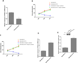 Upregulation of p300 in paclitaxel-resistant TNBC: implications for cell proliferation via the PCK1/AMPK axis