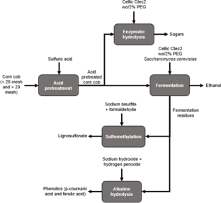 Ethanol Production from Corncob Assisted by Polyethylene Glycol and Conversion of Lignin-Rich Residue into Lignosulfonate and Phenolic Acids