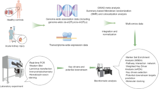 Identification of TACSTD2 as novel therapeutic targets for cisplatin-induced acute kidney injury by multi-omics data integration.