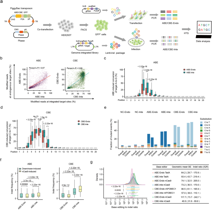 Deep learning models incorporating endogenous factors beyond DNA sequences improve the prediction accuracy of base editing outcomes.