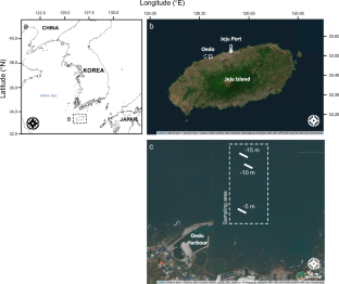 The vertical distribution of Alveopora japonica provides insight into the characteristics and factors controlling population expansion at Jeju Island off the south coast of Korea