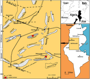 The Late Cretaceous polygenic breccias succession of Rouana formation in central Tunisia: implication for the comparison of stratigraphy and depositional environment