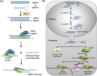 Biotechnological strategies to decipher the functions of abiotic stress-associated genes in soybean