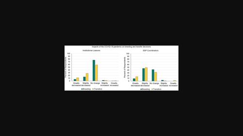 Impacts of the COVID-19 pandemic on population management in AZA.