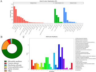 Identification of odorant-binding proteins in the antennal transcriptome of Cotesia ruficrus and the response of CrufOBP3 and CrufOBP17 to maize volatiles