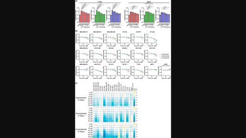 Analysis of the responsiveness to antiandrogens in multiple breast cancer cell lines