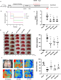 Transcriptomics and Metabolomics Unveil the Neuroprotection Mechanism of AnGong NiuHuang (AGNH) Pill Against Ischaemic Stroke Injury.