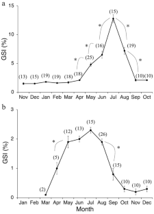 Process of gametogenesis in golden venus chub, Hemigrammocypris neglecta (Cyprinidae), with special regard to the comparison in initiation pattern of gametogenesis with other cyprinids