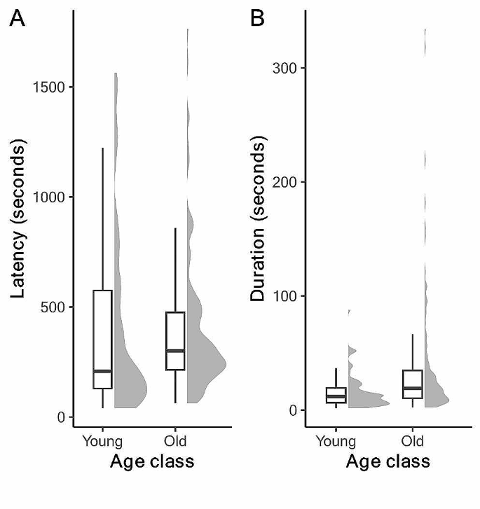 Experimental quantification of genetic and ontogenetic effects on fighting behavior in the broad-horned flour beetle