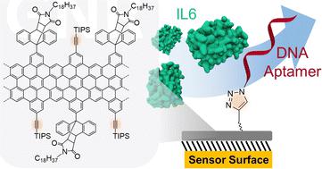 “Clickable” graphene nanoribbons for biosensor interfaces†