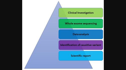 Further delineation of Wiedemann-Rautenstrauch syndrome linked with POLR3A.