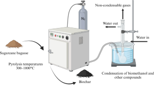 Effect of Pyrolysis Temperature on the Production of Biochar and Biomethanol from Sugarcane Bagasse