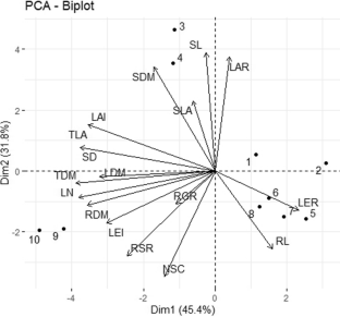 Deciduous trees could benefit more from the rise in [CO2] than evergreens in the Brazilian Cerrado