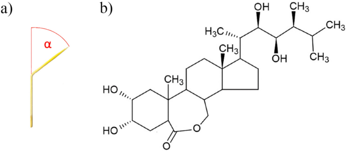 Straightforward method for brassinosteroid detection in microalgae