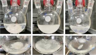 Modification of polyvinylidene fluoride through homogeneous reaction for preparation of hydrophilic membrane