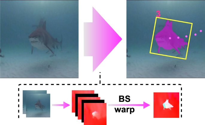 How to track and segment fish without human annotations: a self-supervised deep learning approach