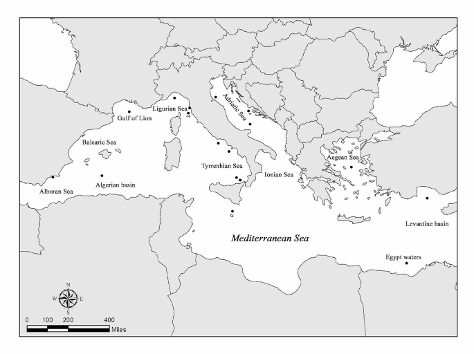 Where and when has the rare Fish Species Regalecus glesne been Found in the Mediterranean so far?