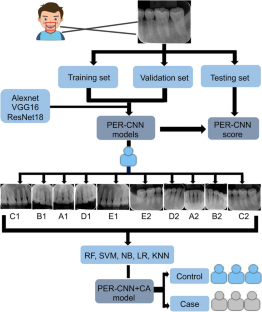 Convolutional neural networks combined with classification algorithms for the diagnosis of periodontitis.