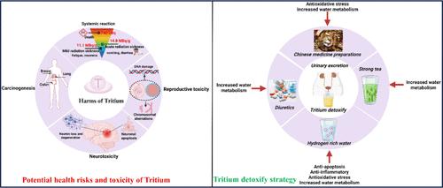 Progress on Tritium Toxicity and Detoxification Strategies