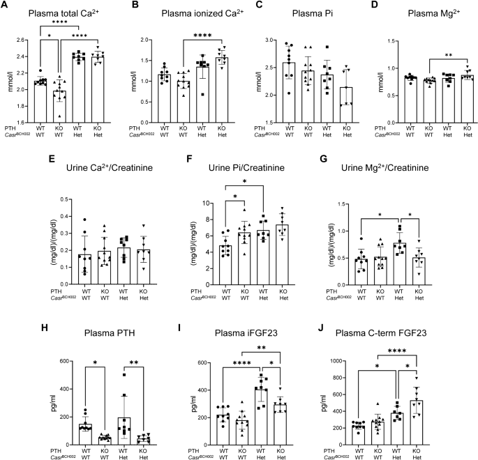 A novel mouse model for familial hypocalciuric hypercalcemia (FHH1) reveals PTH-dependent and independent CaSR defects.