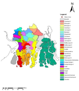 Spatial variation of soil and ground water salinity in a deltaic region of the Indian Sundarbans