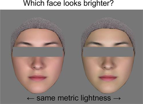 Relationship between brightness perception and skin color influenced by experimental method