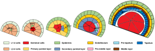 Molecular Mechanisms of Male Sterility in Maize