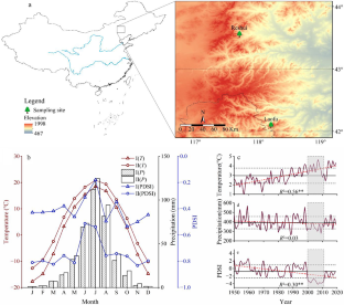 Divergent growth and responses of conifer and broad-leaved trees to warming-drying climate in a semi-arid region, northern China